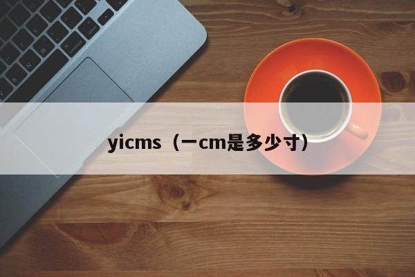 yicms（一cm是多少寸）