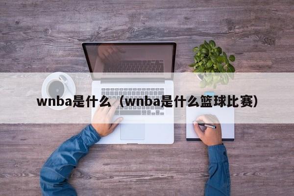 wnba是什么（wnba是什么篮球比赛）